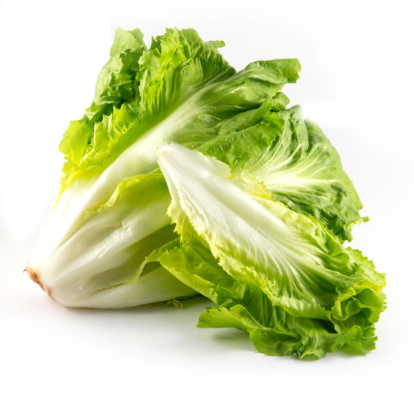 Lettuce (Romaine)