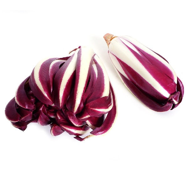 Radicchio (Rosso Tardivo)