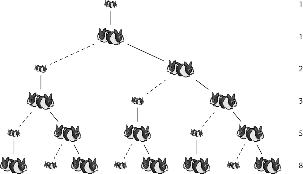 Multiplying Rabbits image