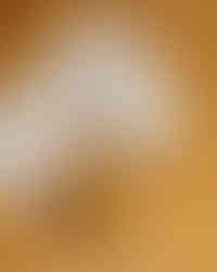 Cerveza con papas fritas y menú sobre mesa en Res Pública Zapopan.