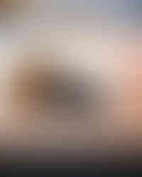 Sushi envuelto en alga nori con tempura en Dakima restaurante.