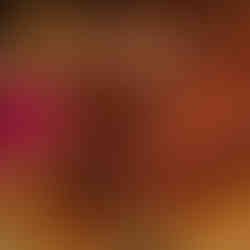 Pulpo asado con guarnición de cebolla morada y especias en La Vaca Argentina Plaza Picacho.