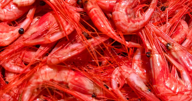 Camarones - Ein MUSS!