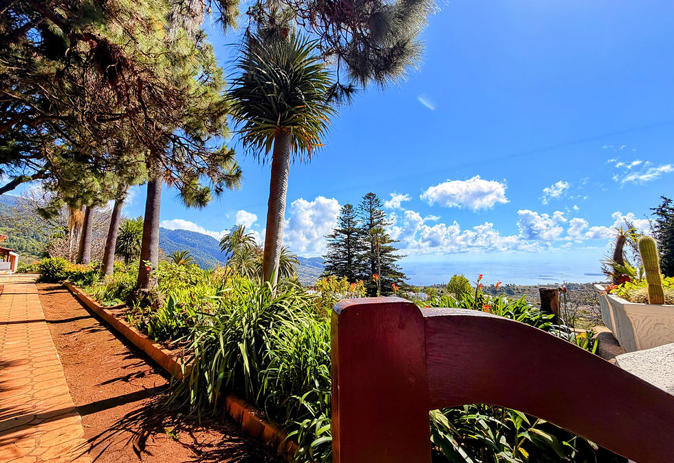 In harmony with nature – PRIVATE SUBTROPICAL GARDEN WITH DESIGNER FINCA, CONSERVATORY & SEA VIEW
