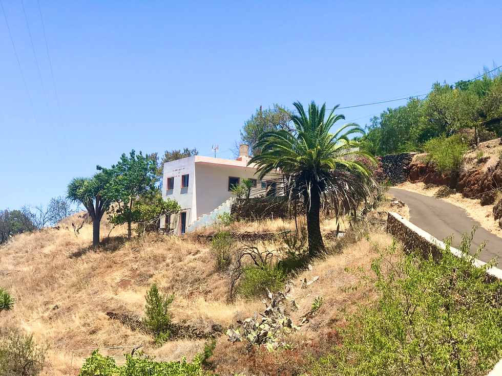 Kanarisches Landhaus inmitten einer romantisch gelegenen 18.000 m² großen Finca in El Castillo