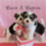 Lacie-&-Laticia-66