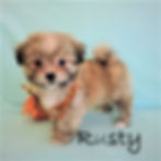 Rusty ~ M ~ Malshi