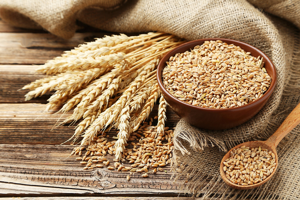 Apa Itu Gluten Apakah Makanan Gluten Free Sehat