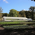5753a.JPG