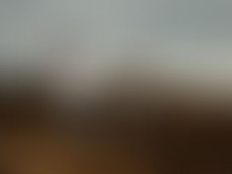 The G Family Sibling Session, Jibbon Beach, the Sutherland Shire