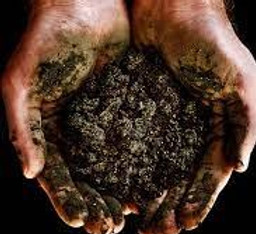 Hands Soils_edited.jpg