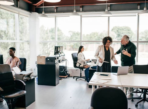 Professional consulting services for startups