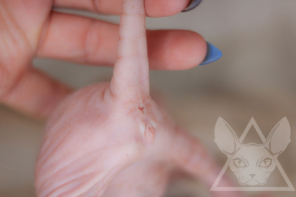 Thumbnail: FEMALE 3