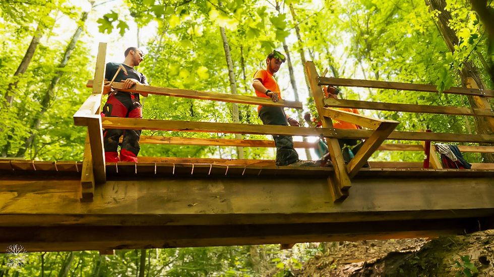 Remplacement d'un pont sur un chemin didactique