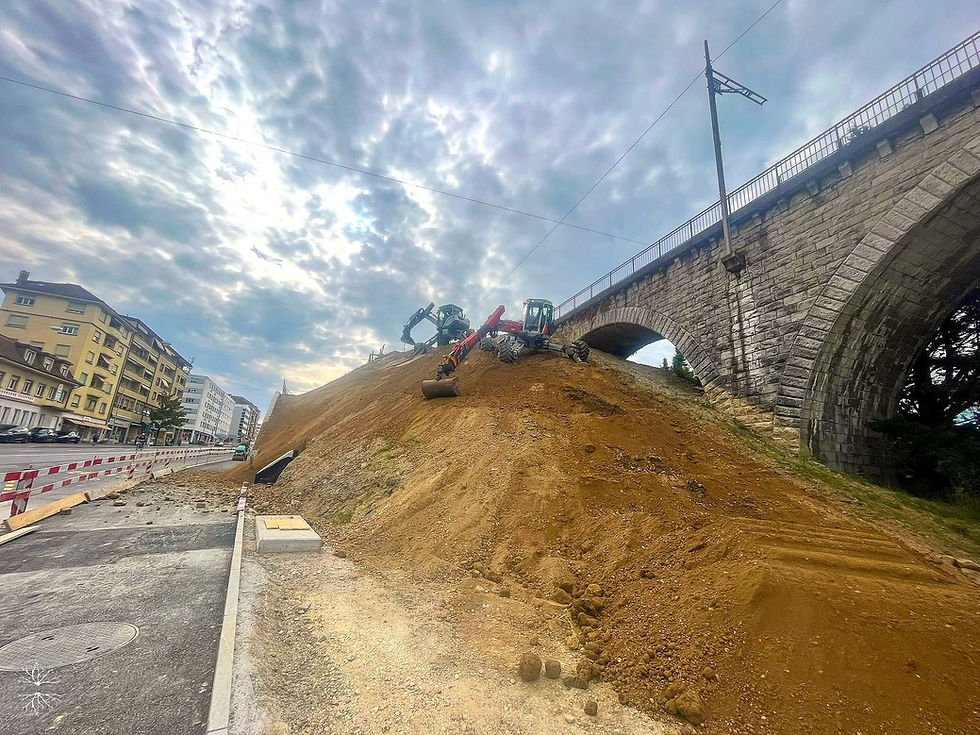 Stabilisation biologique au cœur de Lausanne