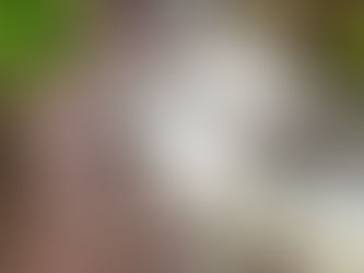 Flood Insurance Compliance in Colorado’s Mountain and Front Range Corridors