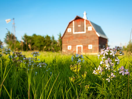 Nebraska property investor insurance coverage