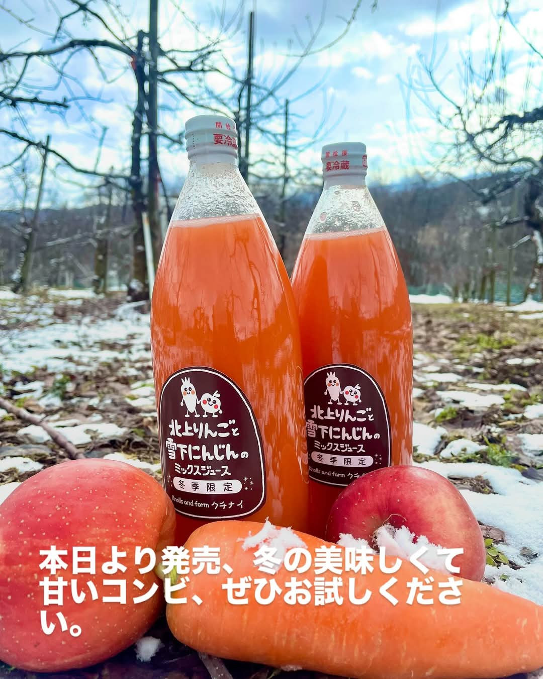 りんごジュース雪下にんじんミックスApple carrotjuice