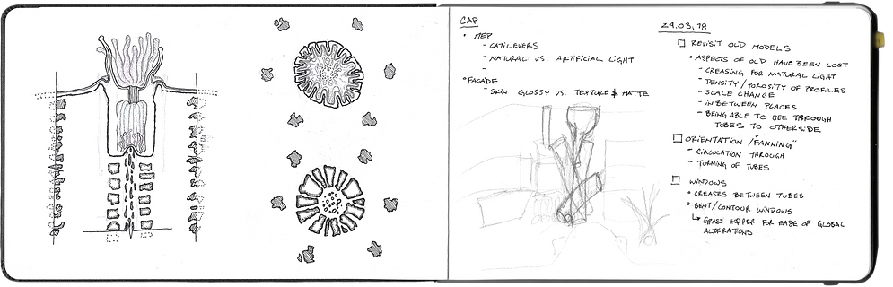 CAP Studio_Sketchbook-01_SM.png