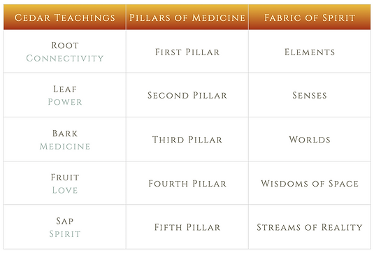 0. Fabric of Spirit Branches.png