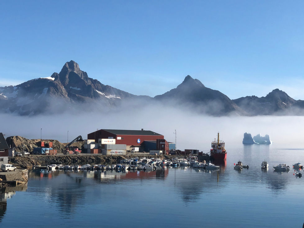 King oscars harbour