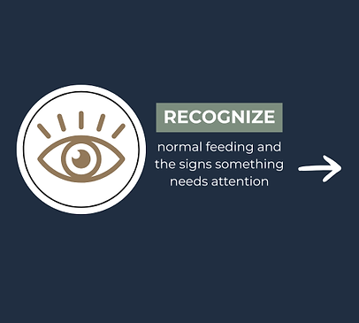 Blue block with eye icon saysrecognize normal feeding and signs something needs attention brastfeeing tips