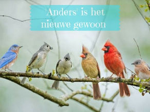 Het verschil tussen hooggevoelige- en nieuwetijdskinderen.