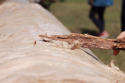 WhatsApp Image 2017-06-20 at 14.55.09 (1)