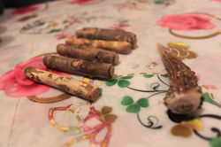 WhatsApp Image 2017-06-20 at 14.53.57