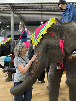 WhatsApp Image 2024-02-15 at 17.25.02.jpeg