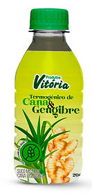 GARRAFA TERMOGENICO_edited.jpg