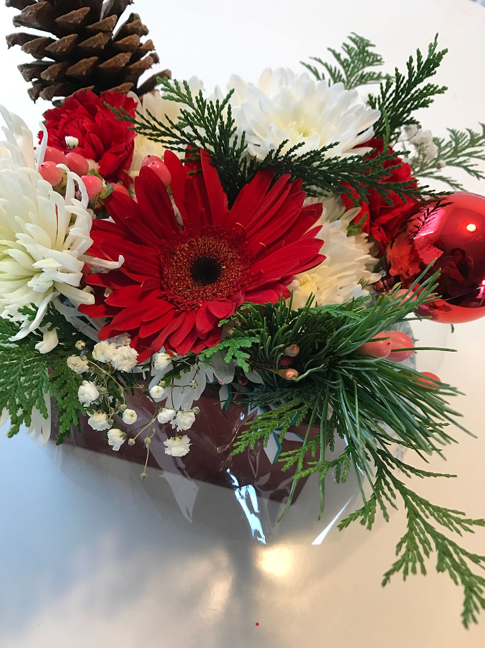Holly-Day