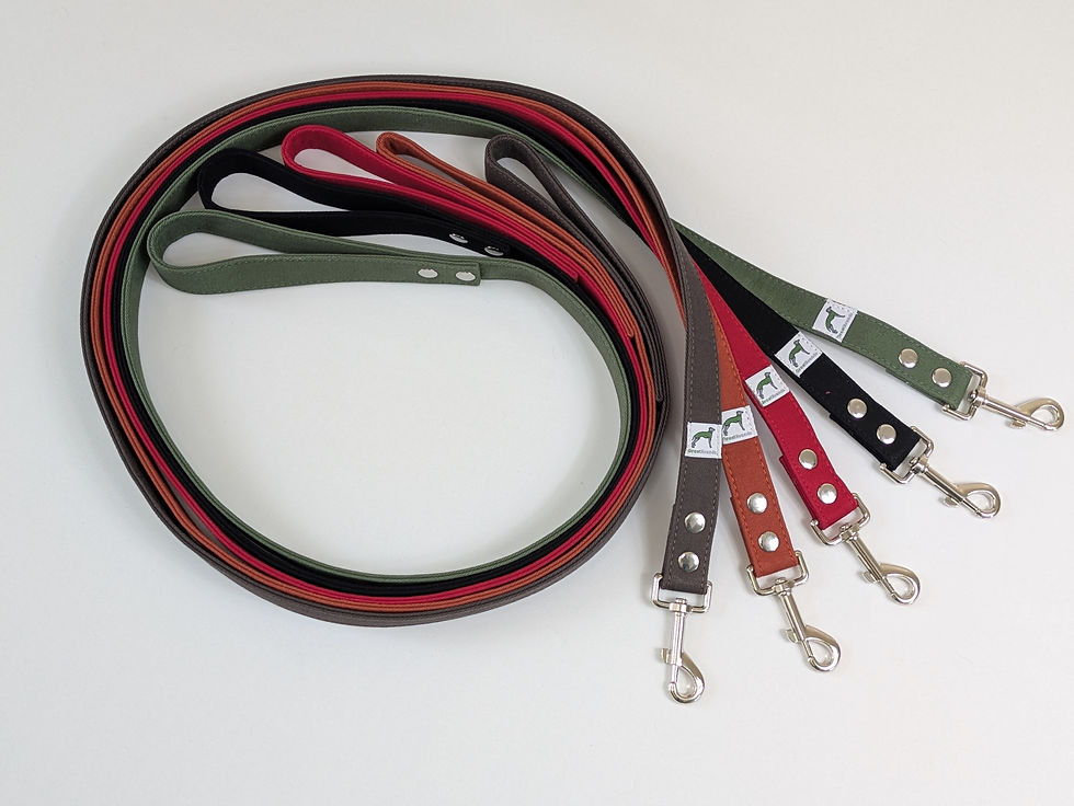 Thumbnail: Heavy duty dog lead - 5 colours
