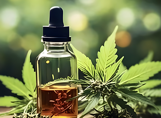 Screenshot 2026-04-24 at 11.55.03 PM.png