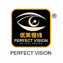 LOGO PERFECT VISION.png