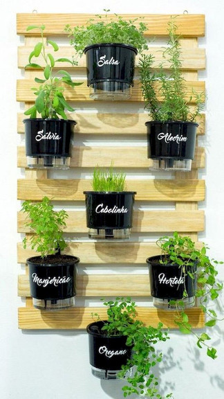 Plant decor on wall 