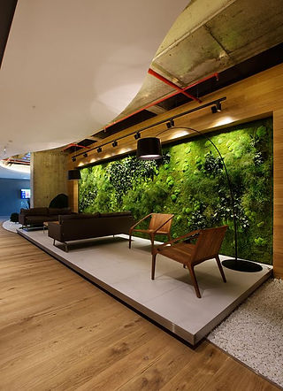 Biophilic Design in office reception area