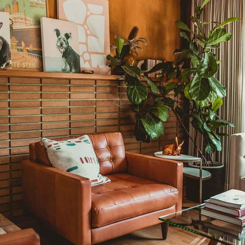 Mid Century Modern interior