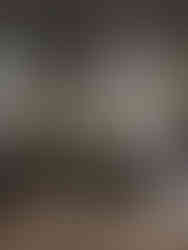 interior style is inspired predominantly by the glamorous residences