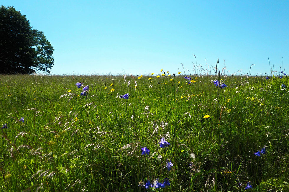 Singles Puy de Dôme