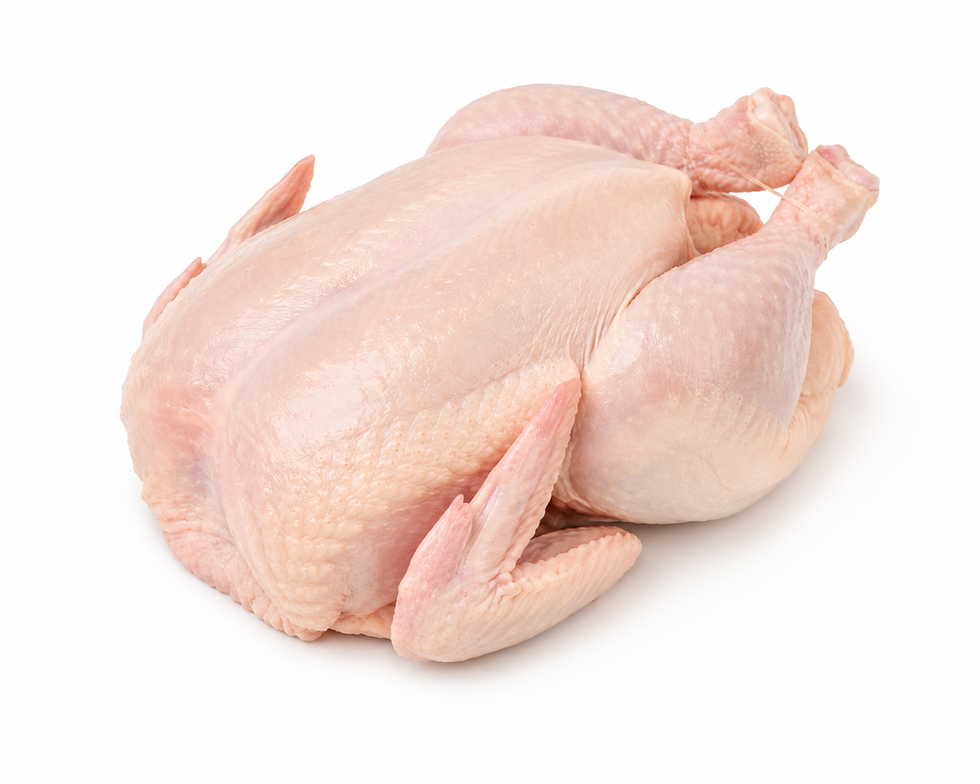 ChatGPT Image 14 Tem 2026 16_54_15.png