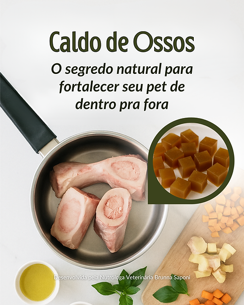 BÔNUS - Caldo de Ossos (1080 x 1350 px) (2).png
