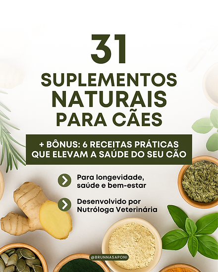 BS - Criativos Stories (1080 x 1350 px).png