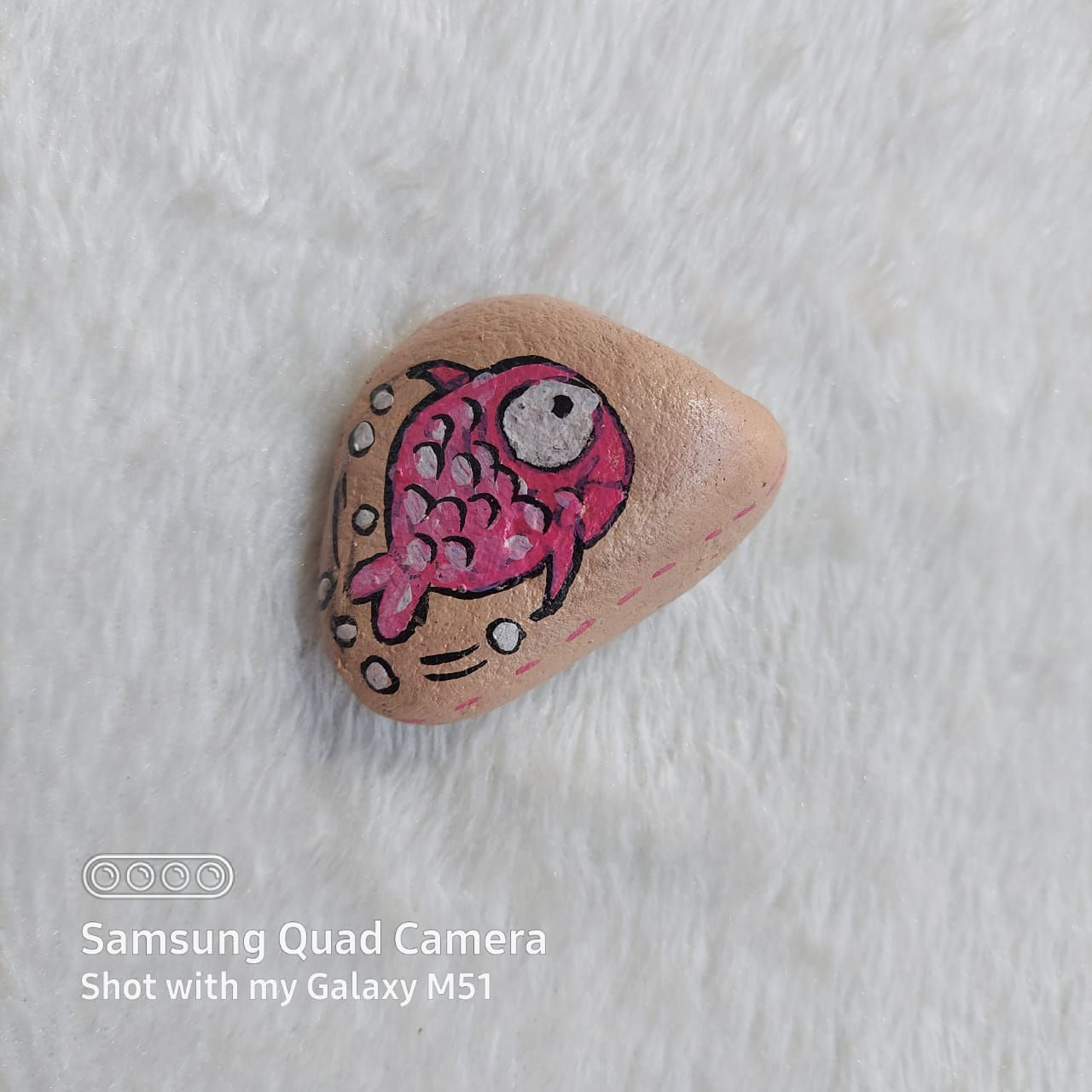fish Hand painted natural pebble & fridge magnet