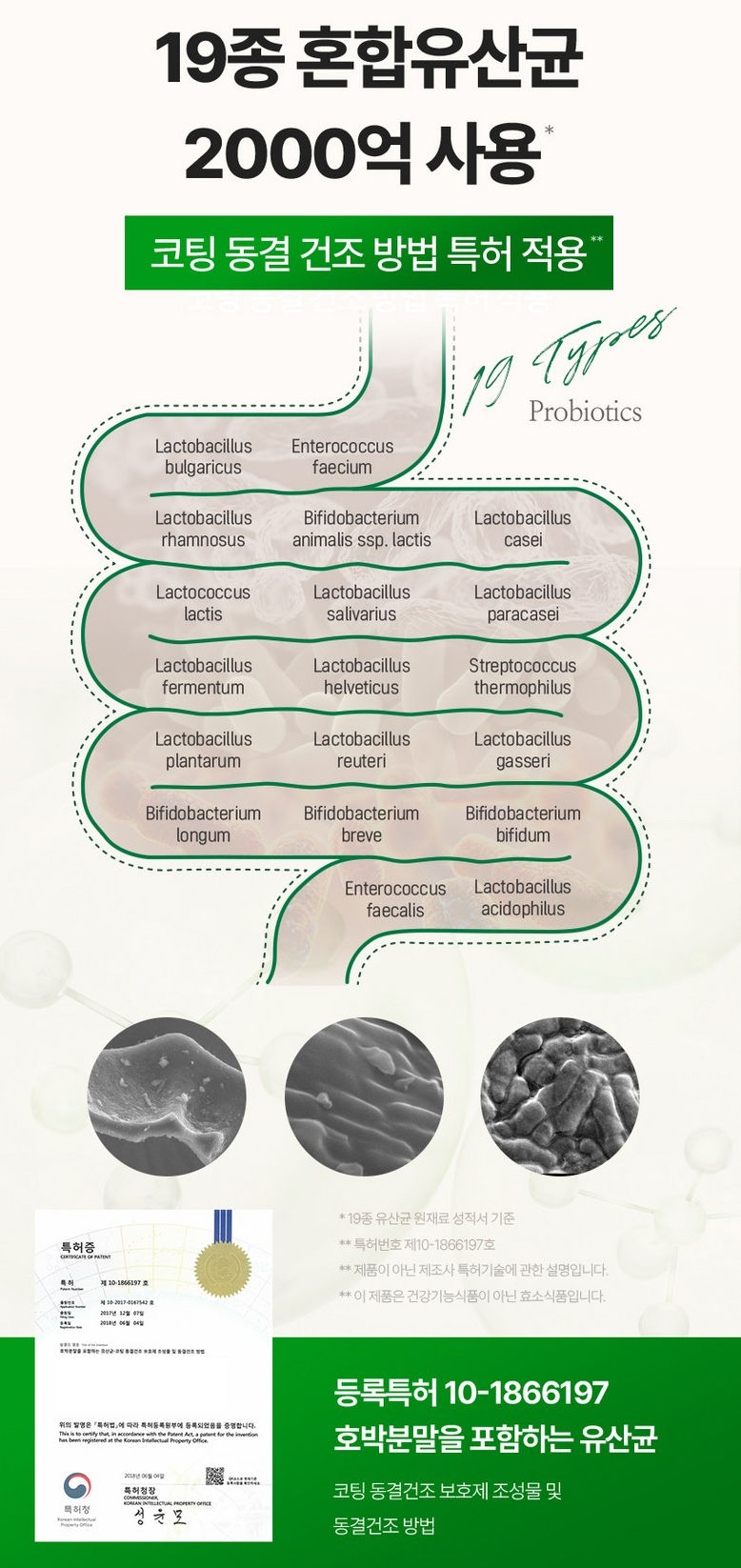 ภาพขนาดย่อ: 태국 동남아  판로개척 수출  ขายส่งสินค้าเกาหลี  ขายส่งเกาหลี kaisongkor เอนไซม์สับปะรดโบรมีเลน bromelain