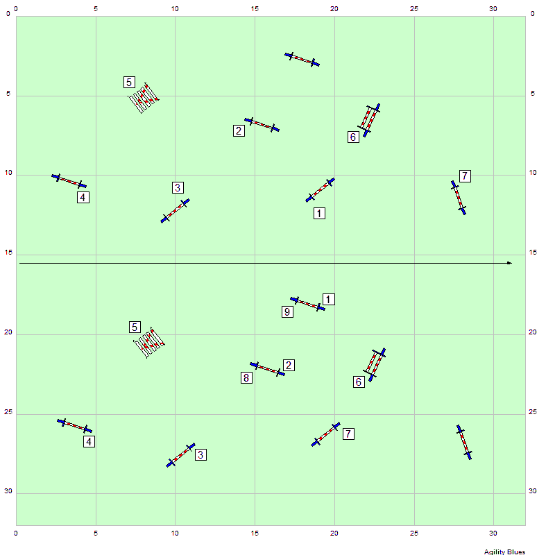 Skills Drills & Thrills (2016) Agilitybooks