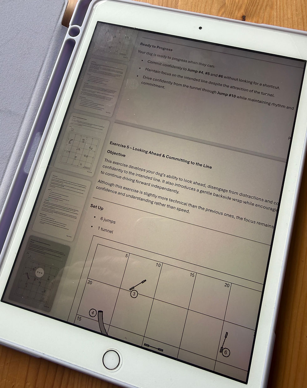 Thumbnail: Young Agility Dog Workbook – Digital Download (PDF)