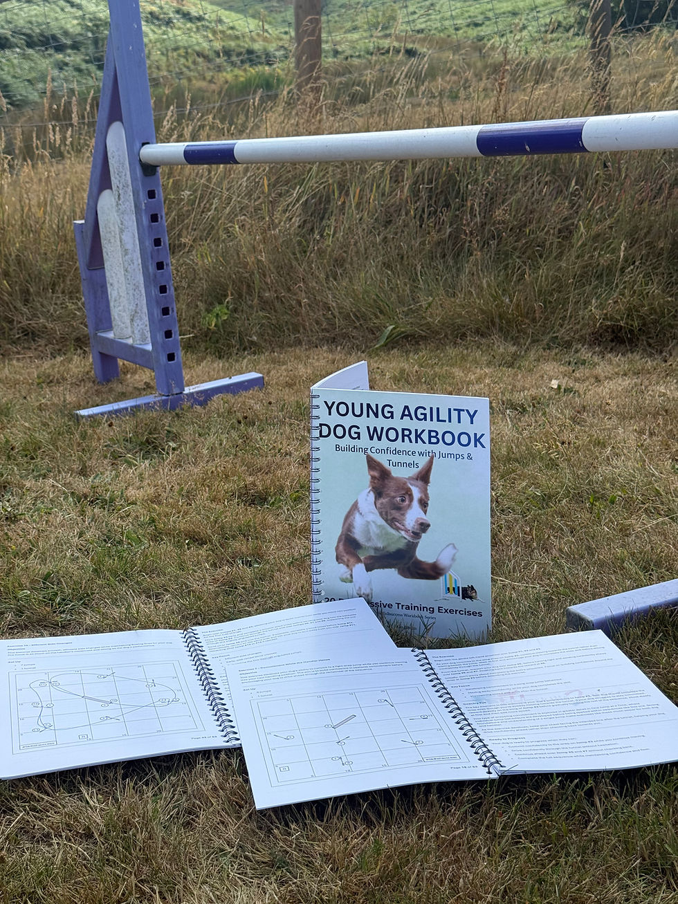 Thumbnail: Young Agility Dog Workbook (Printed Edition)