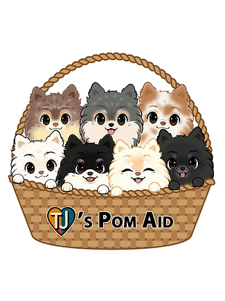 basket full of poms being cared for and protected by TJ Love's Pom Aid.