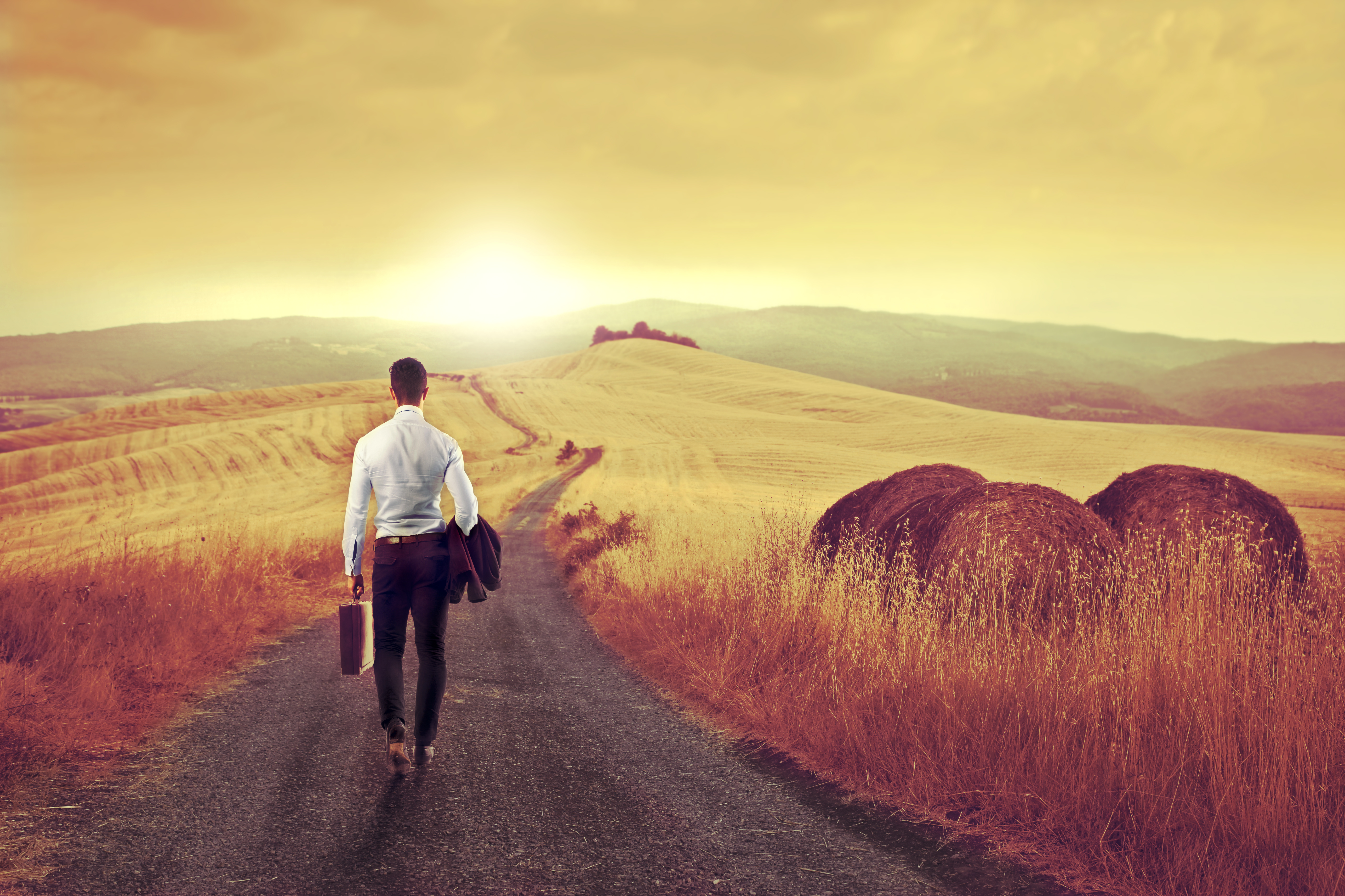 Businessman from the back on a long country road.jpg